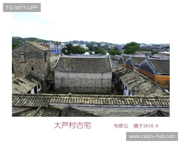 PA视讯版：丰富多彩的内容资源满足不同用户需求