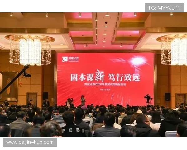 龙腾娱乐有限公司未来发展方向与市场扩展策略全面展望